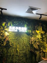 -小熊维尼高端孕婴摄影(清湖金銮店)