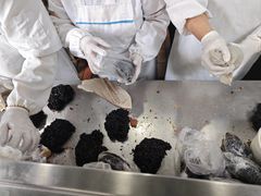 -芳婆糕团店(王府大街店)