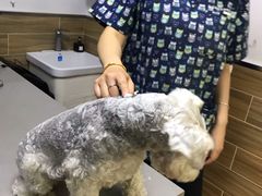 -爱侣宠医·鹦鹉专科·小型哺乳类·异宠专科(灵石路店)