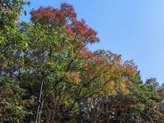 -虞山风景区