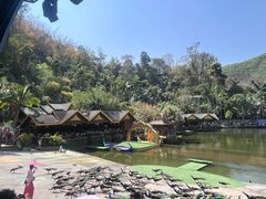 -西双版纳原始森林公园