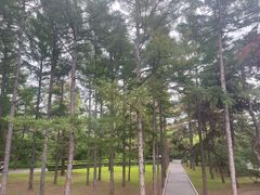 -长春市南湖公园