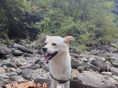 -溪口-滕头旅游景区