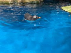 -香港海洋公园