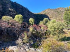 -百里山水画廊乌龙峡谷