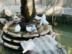 -西安大兴善寺