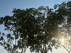 -聚汇三少·龙虾·中餐厅(莫邪路新天地店)