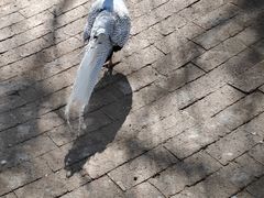 -银树楼(紫玉山庄东区店)