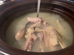 猪肚煲鸽汤-大鸽饭(体育西路店)