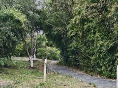 -梁鸿国家湿地公园