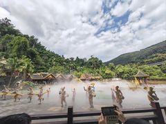 -西双版纳原始森林公园