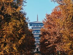-陈武帝故宫