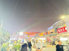 -中环花鸟鱼虫市场