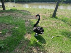 -南京金牛湖风景区