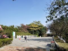 -玉树公园