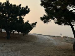 -北戴河东海水浴场