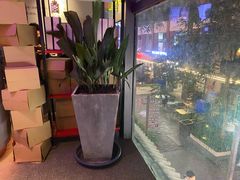 -黄尚皇小龙虾-螃蟹-烧烤工坊(皇后公园店)