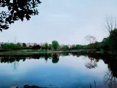 -两河城市森林公园