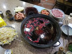 海草-堂客老火锅(欣阳广场总店)