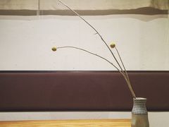 -柴务处·柴犬主题狗咖