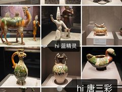 -河南博物院