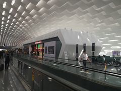 -陈鹏鹏潮汕菜(宝安机场T3航站楼店)