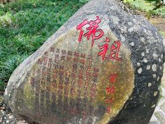 -瑞丽独树成林风景区