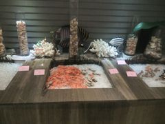 -万德诺富特酒店·自助餐厅(万德大厦店)