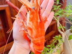 -蟹村草堂·苏式园林人文农家·大闸蟹