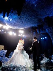 -华东饭店·园林式婚礼宴会厅酒店