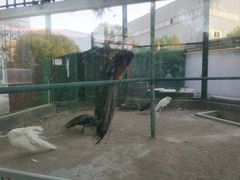 -瑞博尔花园酒店(太周创新产业园店)