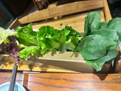 -手选潮汕鲜活牛肉火锅(二七广场店)