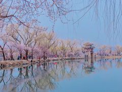 -颐和园