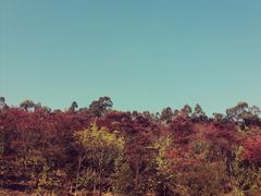 -广州市石门国家森林公园