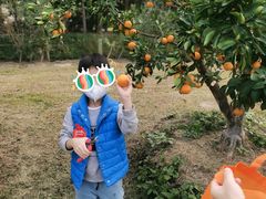 -前小桔亲子创意农场·草莓采摘·露营烧烤