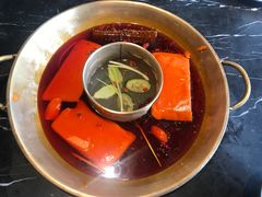 -杨家火锅(国美店)