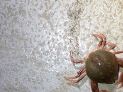 -东戴河风景区-止锚湾