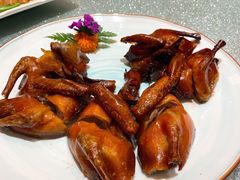 乳鸽-南海渔村(珠江新城店)
