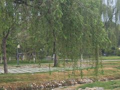 -咸阳湖景区-古渡公园