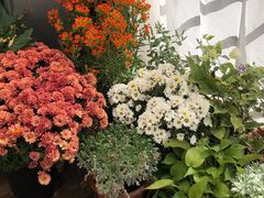 -奈诺甜品·生日蛋糕·下午茶(古城店)