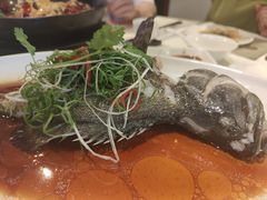 清蒸桂花鱼-文兴酒家(晶品店)