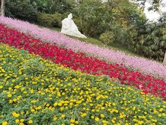 -鹅岭公园瞰胜楼