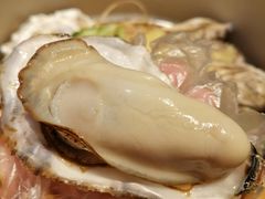 -千岛蚝高压锅生蚝·人参火锅(白云万达店)