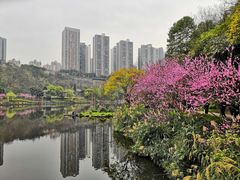 -重庆彩云湖湿地公园
