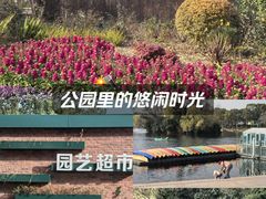 -新江湾城公园