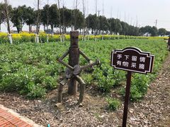 -祝甸砖窑文化馆