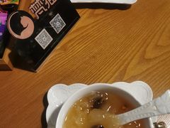 -梵猫·新养生(湛江鼎盛店)