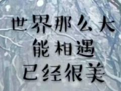 -千户高端家政育儿嫂·保姆·儿童陪伴师