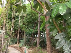 -石家庄市植物园