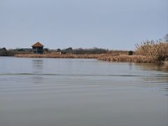 -宁波杭州湾国家湿地公园